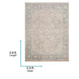 Livabliss x Galey Alix Maria Elena III Vintage Medallion Area Rug, 2'2" x 3'9" (2' x 4'), Brown