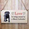 Second Ave Black Labrador Dog Wooden Hanging Gift Rectangle Home