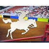 DCentral® Rodeo Flexible Vinyl Safety Screen Magnets: Double-Sided. White-Easier to