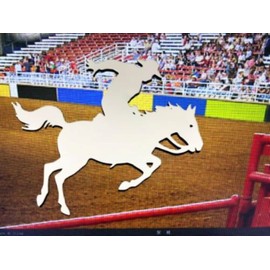 DCentral® Rodeo Flexible Vinyl Safety Screen Magnets: Double-Sided. White-Easier to See Day & Night. Decorative. Helps Stop Walking into Screens, for Non-RETRACTABLES, Size W 16.5" x L 7.5"