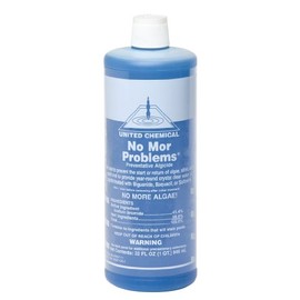 No Mor Problems Pool Algaecide 2 qts.