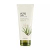 Herb Day 허브데이 페이셜 클렌징 폼 알로에 170ml Herb Day
