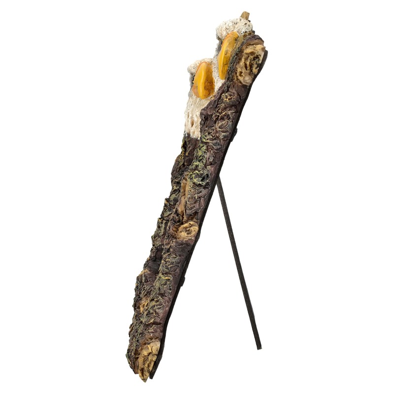Figuren Shop GmbH Eagle Picture Frame - Bald Eagle Design,