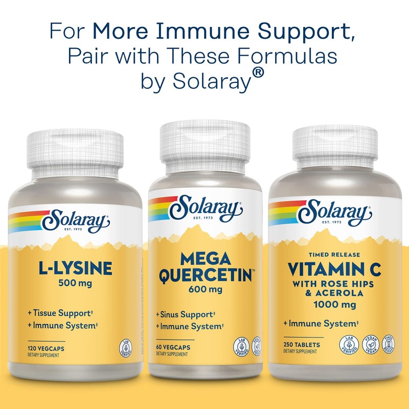 Solaray Bio Zinc 15 mg | Triple Zinc Complex for