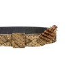 5/8" (0.625") Real Prairie Rattlesnake Hat Band with Rattle: Medium