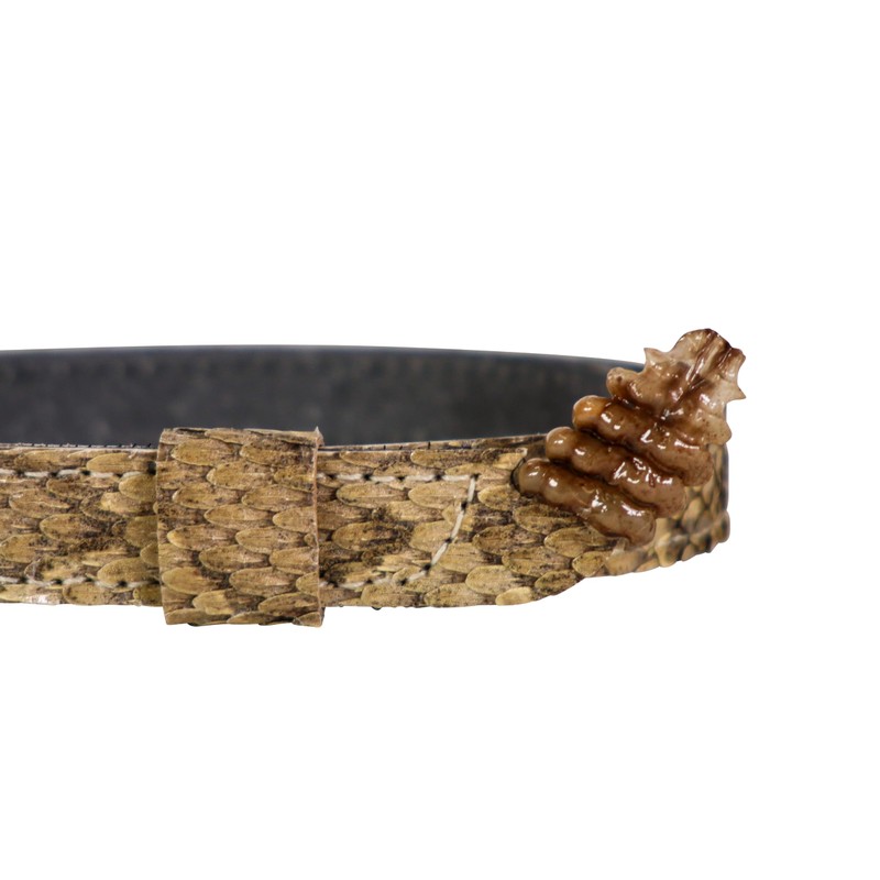 5/8" (0.625") Real Prairie Rattlesnake Hat Band with Rattle: Medium