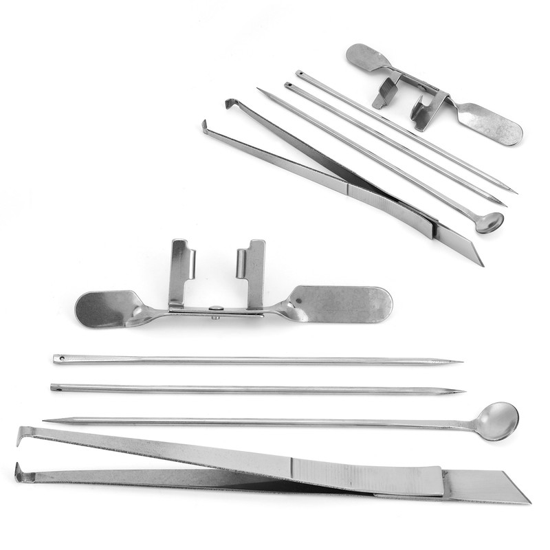 5Pcs Capon Knife Tool Stainless Steel Kit Poultry Farms Veterinary