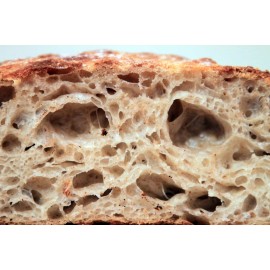 Unbranded sourdough bread starter yeast from san francisco wharf recipes included NEW