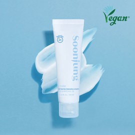 Etude Sunjeong 2x Barrier Moisturizing Cream AD / 에뛰드 순정 2x 베리어 보습크림 AD