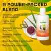 Dynamic Health Healthy Blend with Acai, Mangosteen, Noni, Maqui &
