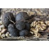 Pure Herbs: Black Walnut Hulls - 1 oz.