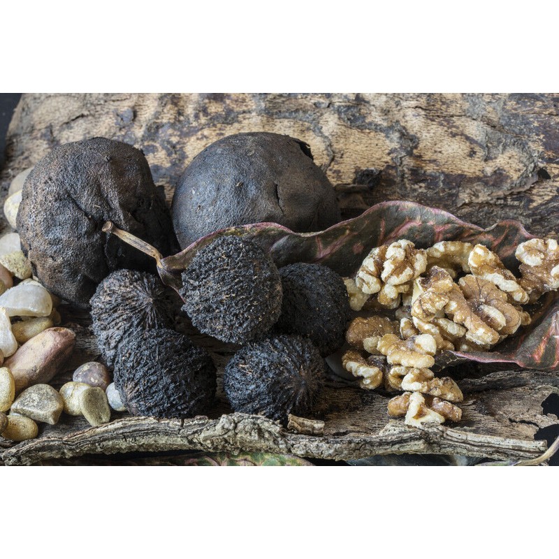 Pure Herbs: Black Walnut Hulls - 1 oz.