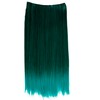 CAISHA 1T20C 5 Clips 60 cm One Piece Clip In