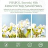 PHATOIL Aroma Oil Jasmine 30ml Essential Oil Essential Oil Gift