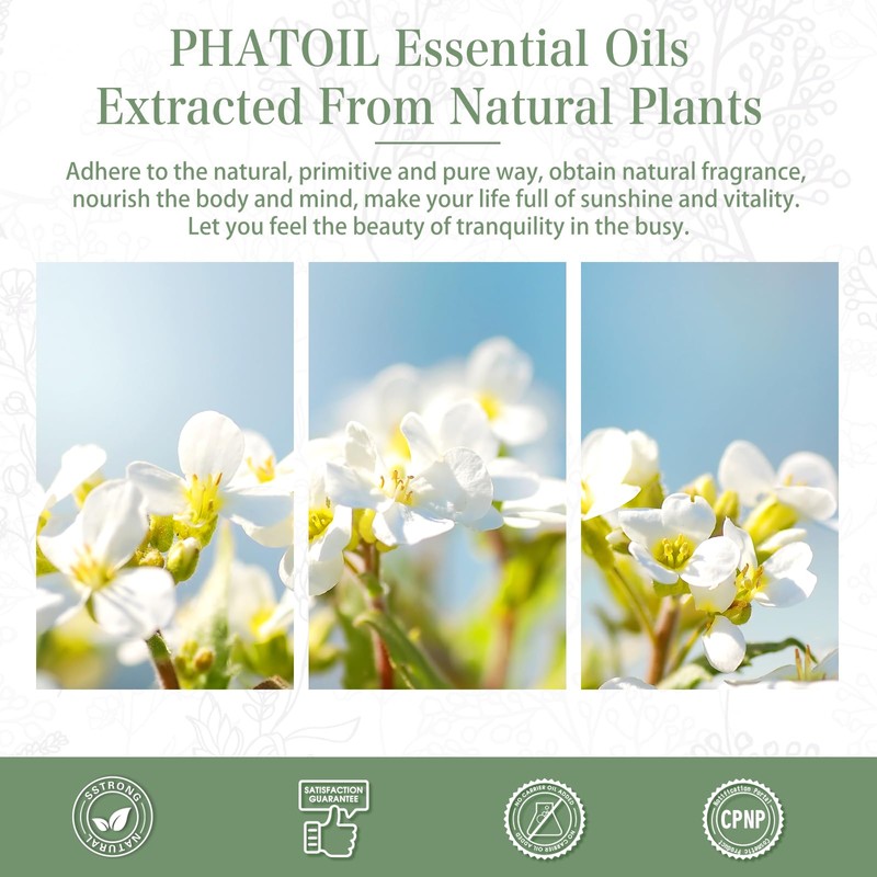 PHATOIL Aroma Oil Jasmine 30ml Essential Oil Essential Oil Gift