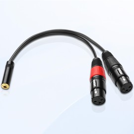 XMSJSIY Dual XLR to 3.5mm Jack Microphone Cable Dual XLR Female to 3.5mm 1/8 TRS Jack Audio Stereo Cable Y-Splitter Cable Computer or Phone to Speaker Breakout Lead Adapter Cable - 24CM/9inch