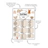 100 Foods Baby First Years Baby Milestones Chart (A3) 100