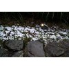 Eamon - 230V IP65 GU10 Polycarbonate Spike Light - Black