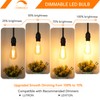 MAXvolador 12-Pack Dimmable Vintage LED Edison Bulb 60W Equivalent, 6W