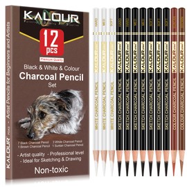 KALOUR Pro Colored Charcoal Drawing Set,12 Pieces Pastel Chalk Pencils for Sketching, Shading, Blending, Portrait, Black White Charcoal for Beginners & Artists