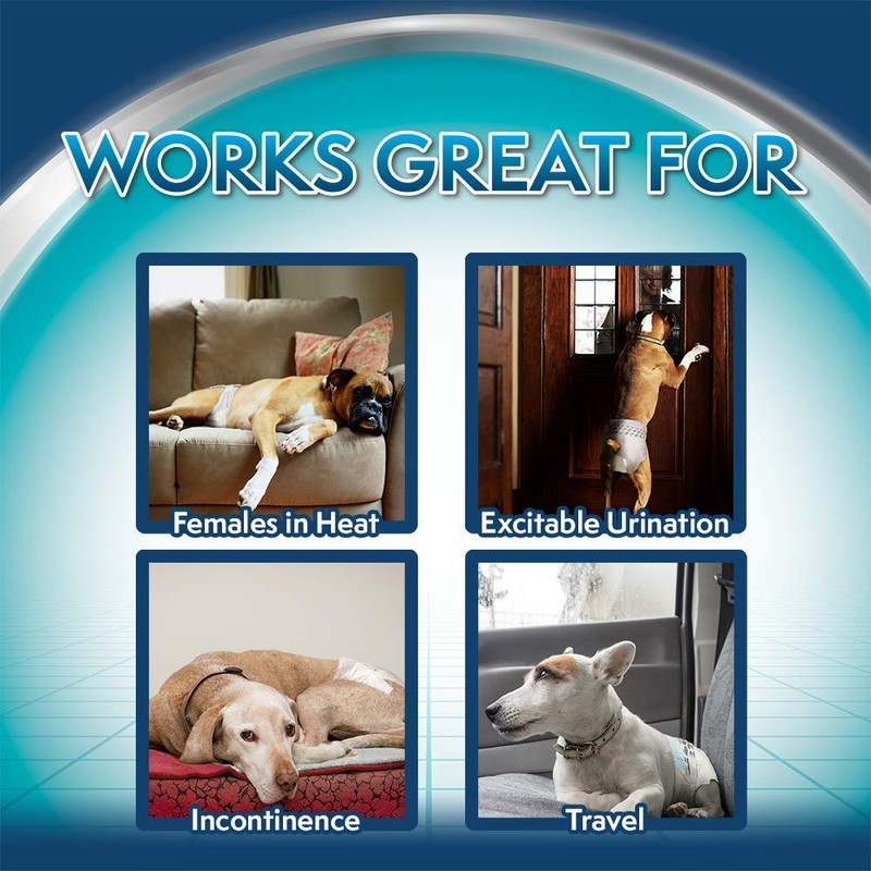 Simple Solution Hunde Windeln XL