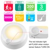 LUXSWAY Wireless Ceiling Light with RF Remote and Motion Detector,