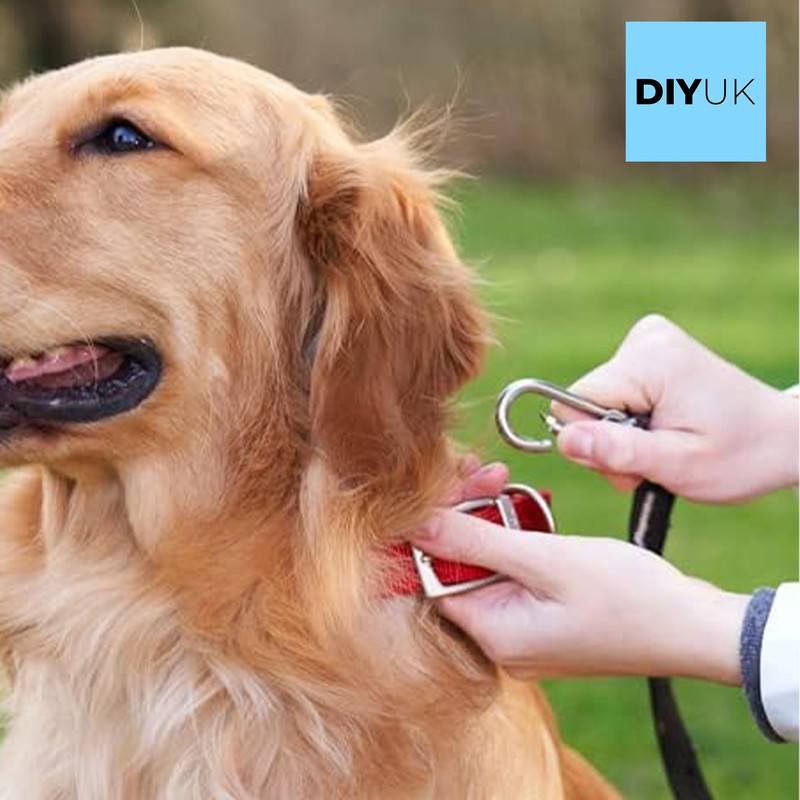 Carabiner 7x70mm Clips Hooks Heavy Duty Clip for Gym Climbing