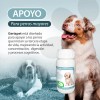 Ruiland Geriapet Suplemento Especializado Para Perros Mayores 60 Tabletas