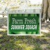 Farm Fresh Summer Squash Yard Sign 5 Pack of 18