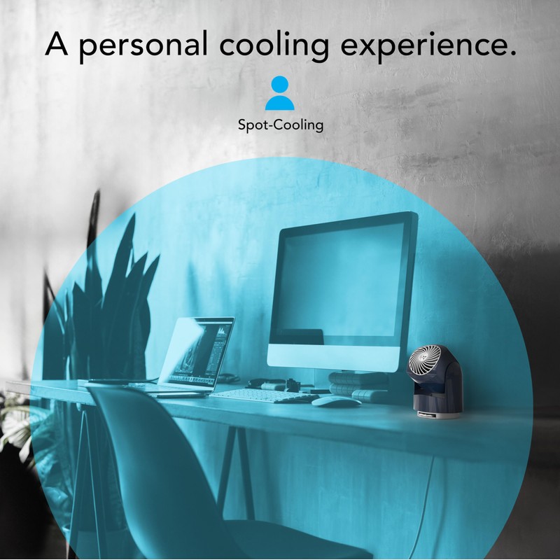 Vornado Flippi V6 Compact Air Circulator Fan, Quiet Portable Travel