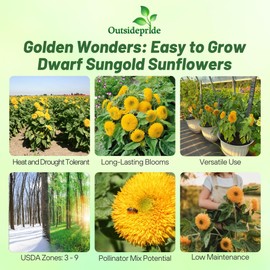 Outsidepride Dwarf Sungold Sunflower Seeds for Planting - 5 Lbs. Annual, Easy to Grow Flower Seeds w/Vibrant, Abundant Blooms for Cut Flower Arrangements & Pollinator & Vegetable Gardens