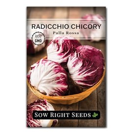 Sow Right Seeds - Palla Rosa Chicory Seeds for Planting - Non-GMO Heirloom Packet with Instructions to Plant an Outdoor Vegetable Garden - Italian Radicchio Seeds - Large Pink & Light Green Heads (1)
