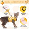 BINGPET Cat Harness with Leash Escape Proof - Fashionable Mesh