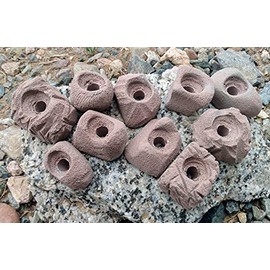Small Holds Climbing Pack of 10 Bolt-on Holds of Foot and Crimp Size (Brown)