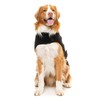 FuzzYard Black Teddy Dog Wrap Vest (2)
