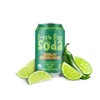 Fresh Fizz Sodas Organic Soda - All Natural Soda Sweetened