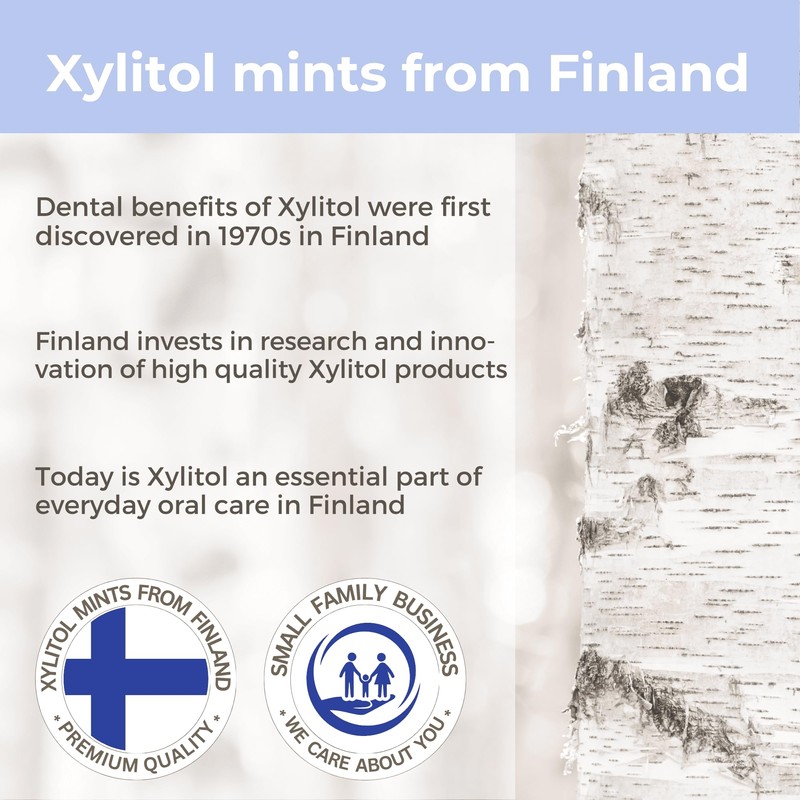 Xylitol Mints for Oral Care - Wild Berries flavor, 100%