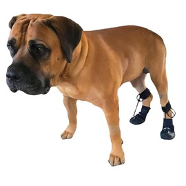 WALKABOUT™ Toe'sUP No Knuckling Boot Brace for Dogs Dragging Paws | Corrective Dog Shoes to Safely Lift Toes