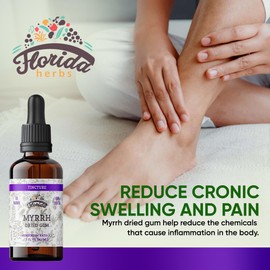 FLORIDA HERBS Myrrh Tincture, Myrrh Extract (Commiphora myrrha) for Indigestion - Non-GMO in Cold-Pressed Organic Vegetable Glycerin 670 mg, Supplements 670 mg