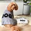 DOG by Dr. Lisa - Dog Wipes - Plant-Based, Natural