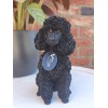 Vivid Arts (Poodle Sitting Black