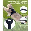 Luxelle 2 Pack Escape-Proof Cat Harness and Leash Set for