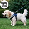 RSYHVG Dog Lead Clips, Swivel Snap Hooks, Heavy Duty, Black,