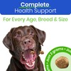 Advanced Dog Vitamins - Four in One Vitamin Complex -