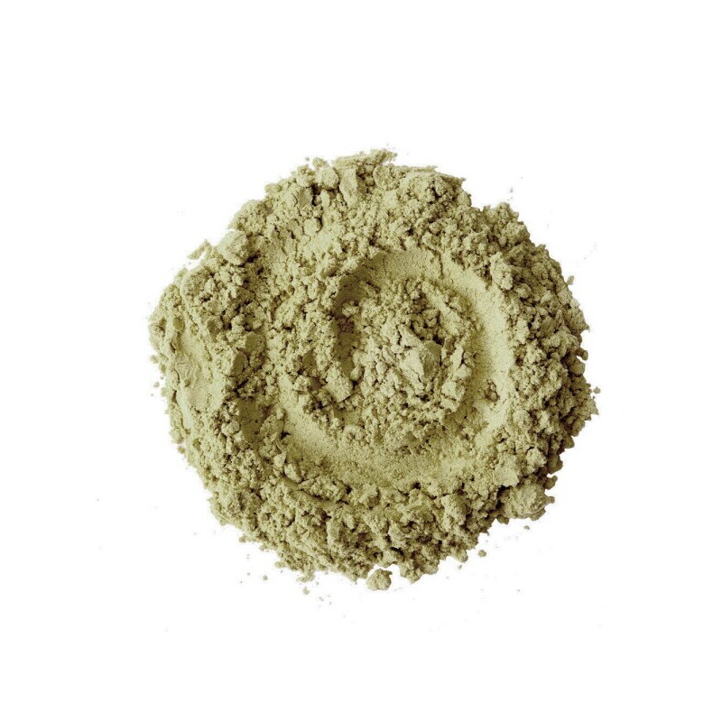 동의한재 국산 측백엽 측백잎 분말 가루 300g Dongyihanja Domestic Thuja