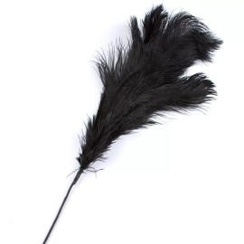 32" Tall Black Feather Plume Decorative Craft Spray