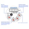MEASUREMAN 1/2" Pulsed Multi-Jet Gallon Water Meter Fully Brass Pulse
