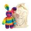 Crochet Kit - Complete Beginner Lollipop the Rainbow Bunny -