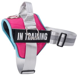 Upgraded No Pull Dog Harness, Reflective Adjustable Dog Vest, in Training Service Pet Harness with 8Pcs Dog Patches for All Breeds, 3 Ring Design No-Choke Pet Oxford Vest with Easy Control Handle