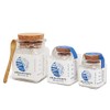 Amagansett Sea Salt - 100% Pure Finishing Salt (1 oz)